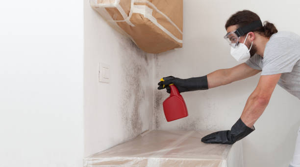 Professional Black Mold Remediation technician working in Island Park, NY